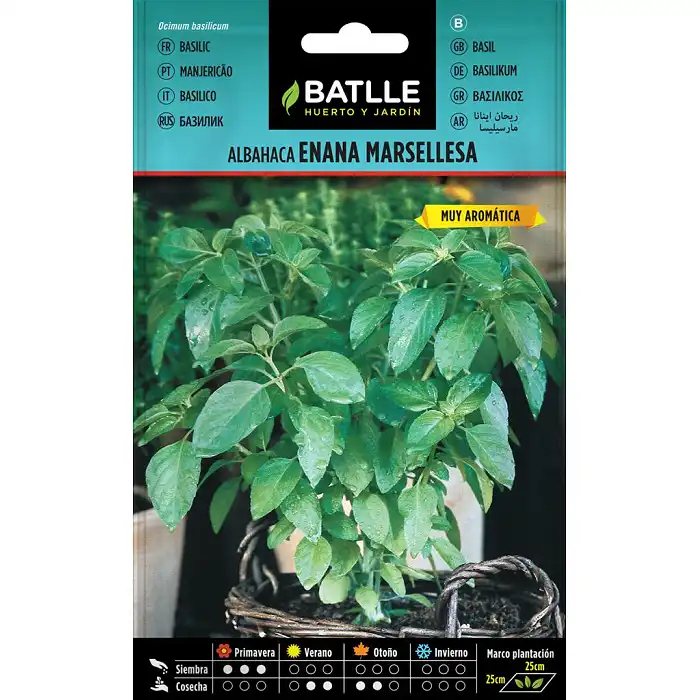Albahaca Enana Marsellesa 0,5 gr.
