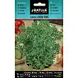 The fine-leaf basil 3gr. 1