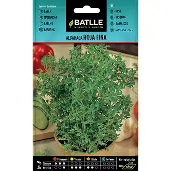 The fine-leaf basil 3gr. 1