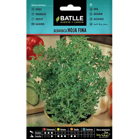 The fine-leaf basil 3gr. 1