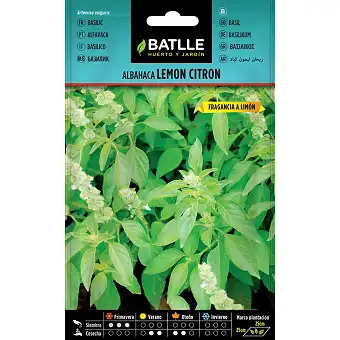 Lemon Citron basil 1,25gr.