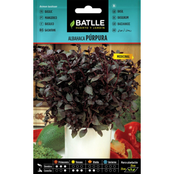 Rotes Basilikum 2 g