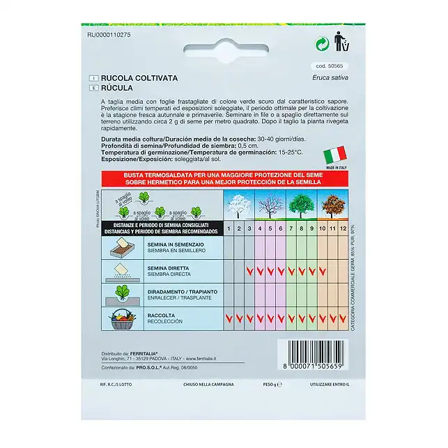 Aragula seeds 9gr.