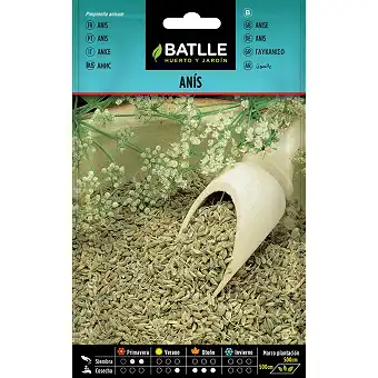Anise Tree Seeds 8gr.
