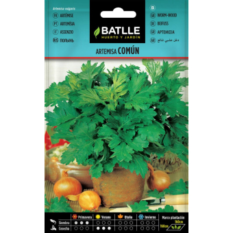 Semi di artemisia comune 0.75gr.
