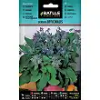 Borage Officinalis 6gr.