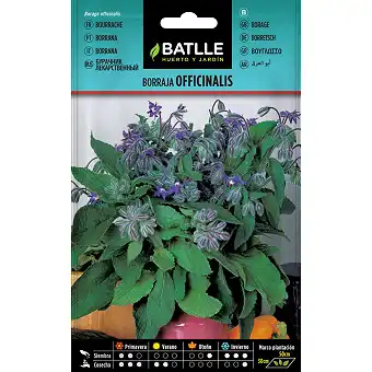 Borage Officinalis 6gr.