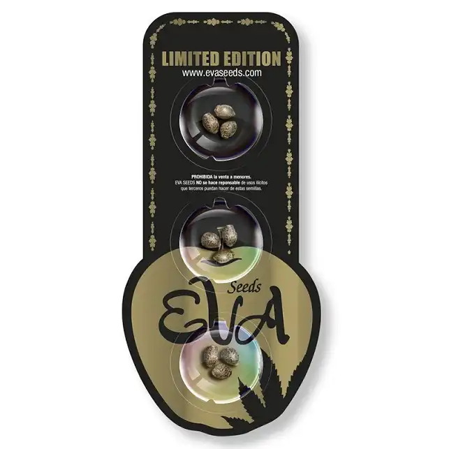 Excalibur x Cheese - Eva Seeds Excalibur x Cheese - Eva Seeds
