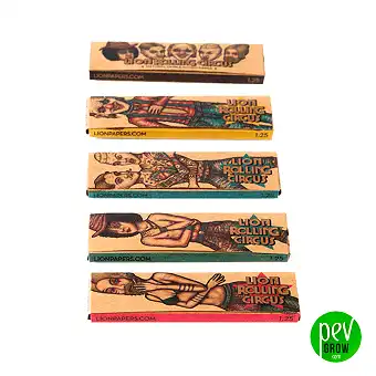 Natural Paper Lion Rolling Circus 1