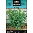 Estragon 0,7 g 1