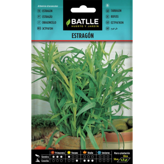 Estragon 0,7 g