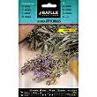 Lavander Officinalis 1gr. 1
