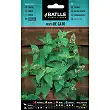 Menta de gato 2gr. 1 Menta de gato 2gr. 1