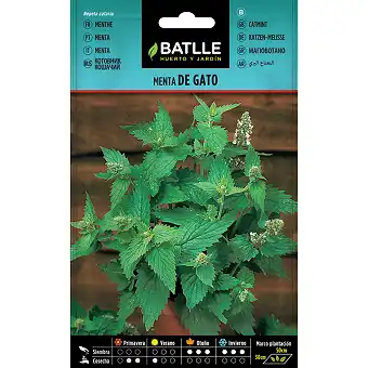 Cat mint 2gr. 1