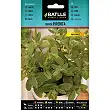 Peppermint 0,2gr. 1