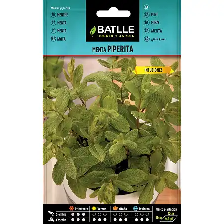 Peppermint 0,2gr. 1