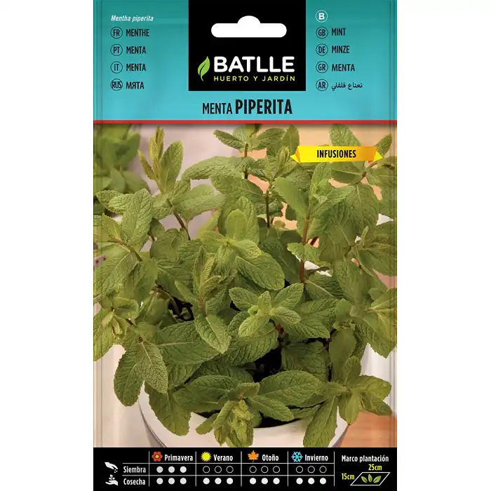 Menta piperita 0,2gr. 1