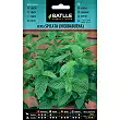 Menta spicata 0,2gr. 1 Menta spicata 0,2gr. 1