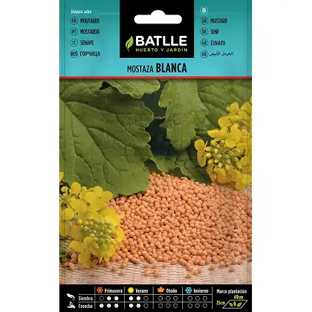 White Mustard 10gr. 1