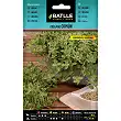 Common Oregano 0,5gr. 1