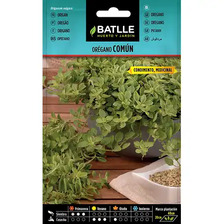 Common Oregano 0,5gr. 1