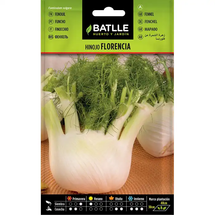 Florence fennel 7gr.