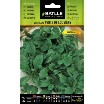 Semi di Valeriana Verte de Louviers 6gr.