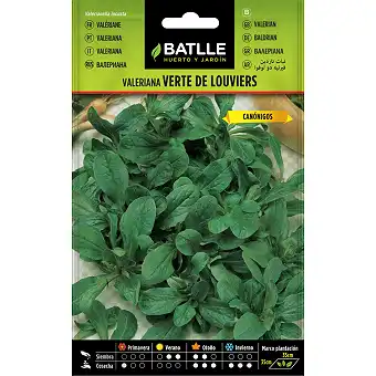 Verte de Louviers Valerian seeds 6gr.