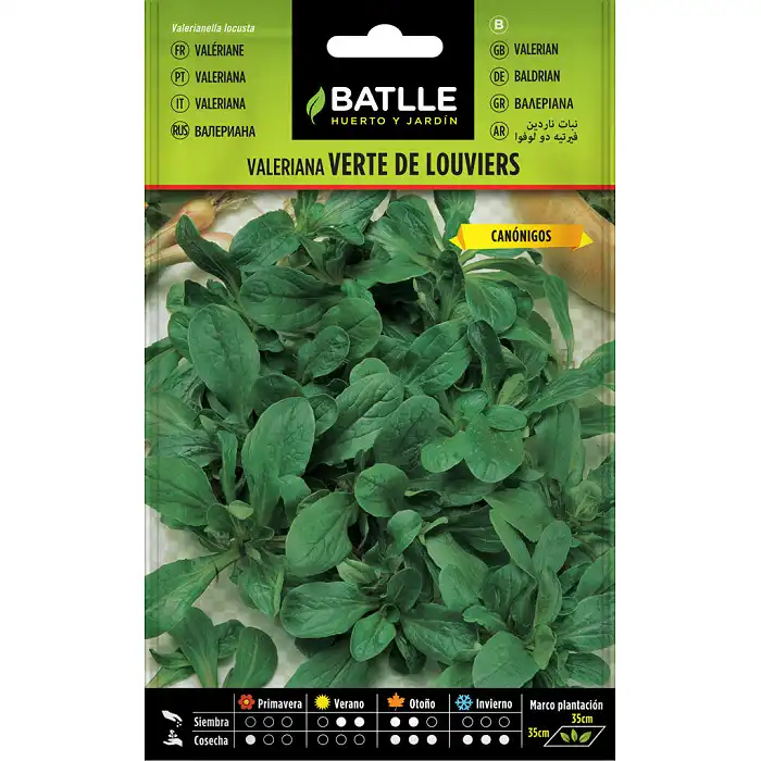 Valeriana verte de Louviers 6gr.