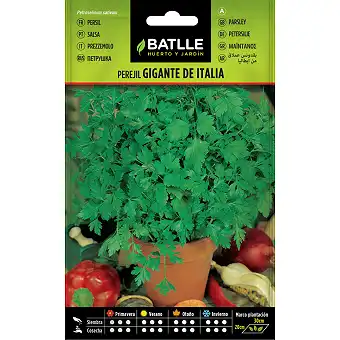 Giant Parsley from Italy15gr.