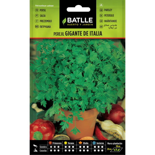 Perejil Gigante de Italia 15gr.