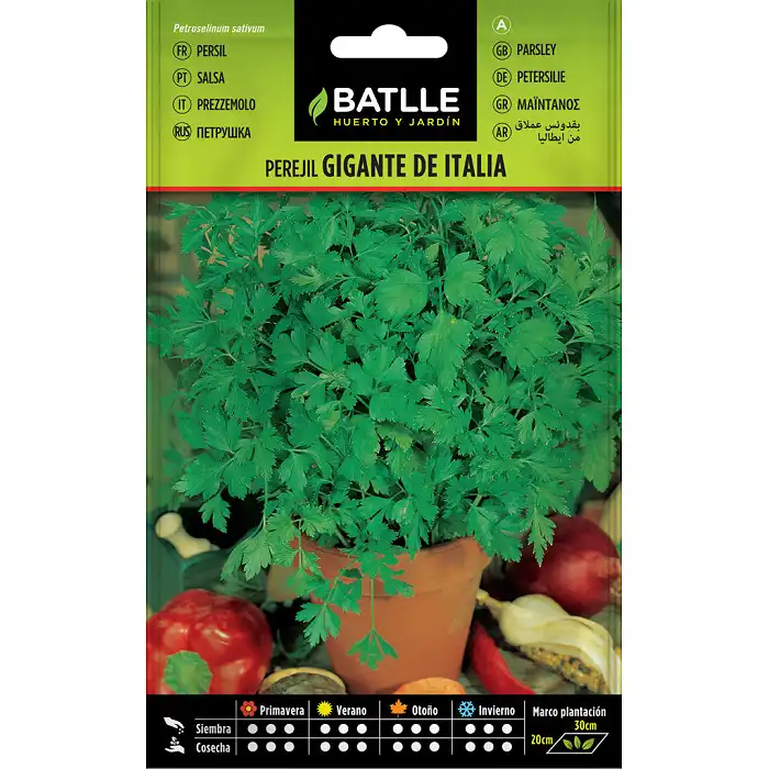 Perejil Gigante de Italia 15gr.