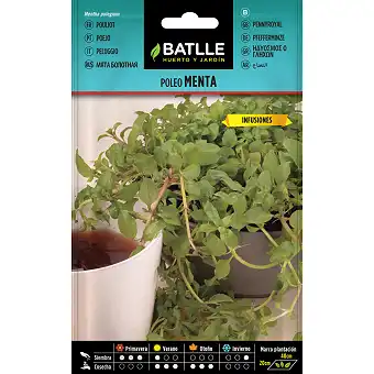 Pennyroyal Mint Seeds 0,2gr. 1