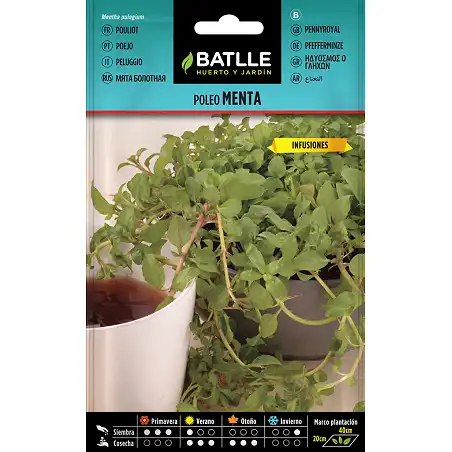 Pennyroyal Mint Seeds 0,2gr. 1