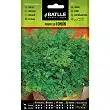 Chervil 12gr.