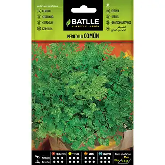 Chervil 12gr.