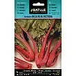 Ruibarbo Hoja Roja Victoria 1gr. Ruibarbo Hoja Roja Victoria 1gr.