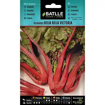 Rhubarb 1gr.