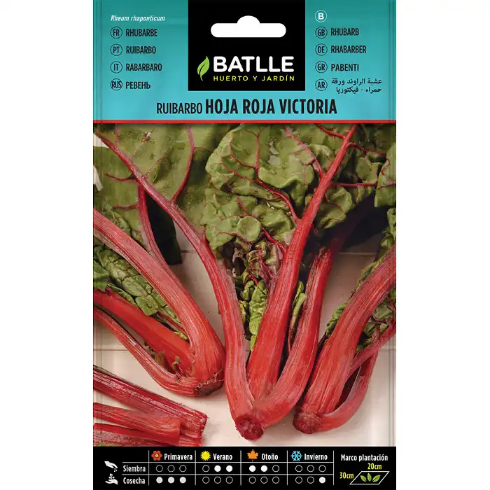 Ruibarbo Hoja Roja Victoria 1gr.
