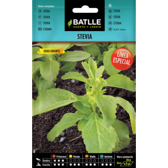 Stevia 35 seeds