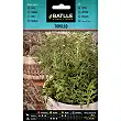 Thyme 1gr.