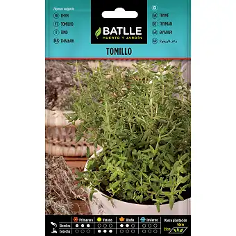 Thyme 1gr.