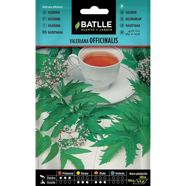 Valerian officinalis 0,5gr. 1 Valerian officinalis 0,5gr. 1