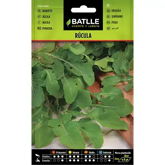 Arugula 10gr.