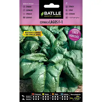 Spinach Seeds 10 gr.