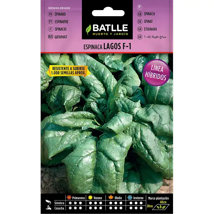 Semillas de Espinaca 10 gr.