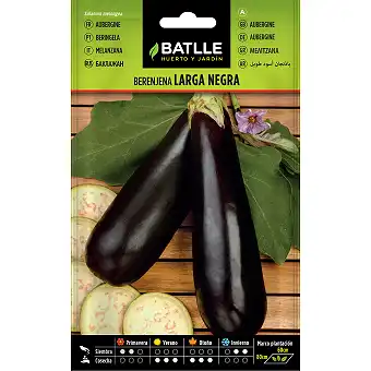 Long Aubergine Seeds 2 gr.