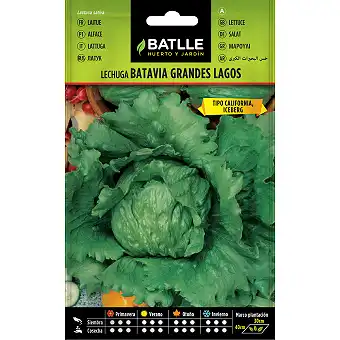 Batavia Lettuce Seeds 6 gr.