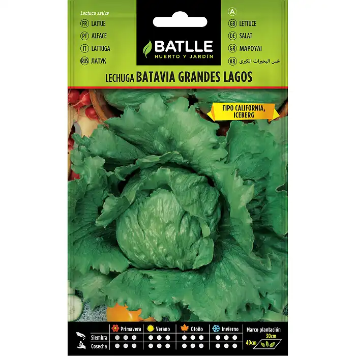 Semillas de Lechuga Batavia 6 gr.