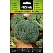 Seeds broccoli 8gr.